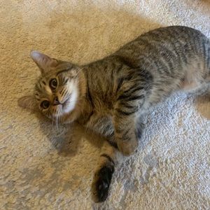 Meet your Posher, Ryan